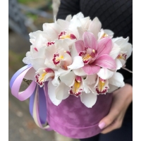 Шляпная коробка с Орхидеями