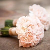 Букет невесты из розовых Диантусов